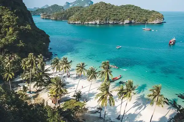 All-Inc Philippines & Veitnam